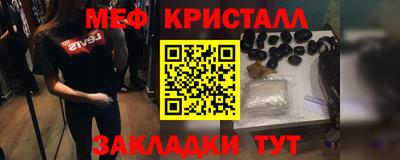 крисы Можга