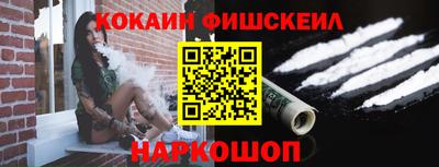 крисы Можга