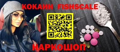 крисы Можга