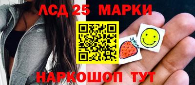 крисы Можга
