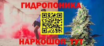 крисы Можга