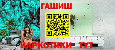 крисы Можга