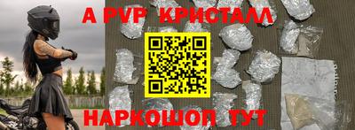 крисы Можга