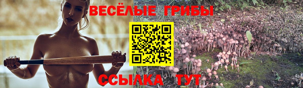 Галлюциногенные грибы ЛСД Борзя