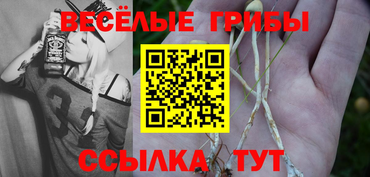 Борзя  Псилоцибиновые грибы мицелий  Вход с VPN  Галлюциногенные грибы мицелий 